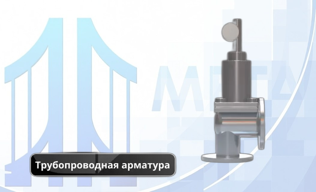 Клапан предохранительный 17Б2бк1 1 мм